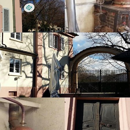 Restaurant Kreuz Hotel Mullheim  Esterno foto